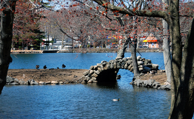 Huntington Common