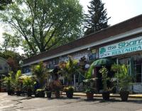 The Shamrock Bar & Restaurant, Halesite, 2020 Beautification Awards Winner, Container Garden Category