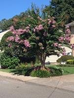 The Hidalgo Family, Huntington Station, 2020 Beautification Awards Winner, Home Category