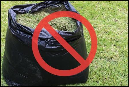 Yard Waste (weeds, lawn clippings, etc.) bags left in garage for a few days  – covered in white, foamy, fluffy substance (Chicago, IL) :  r/whatisthisthing