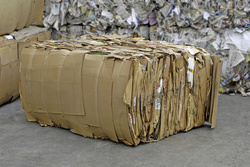 Baled Cardboard